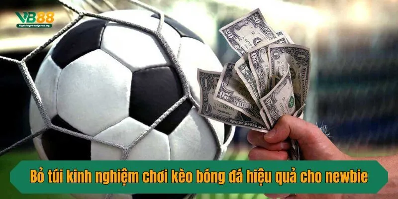 Bỏ túi kinh nghiệm chơi kèo bóng đá hiệu quả cho newbie