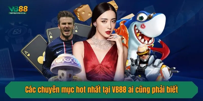 Các chuyên mục hot nhất tại VB88 ai cũng phải biết