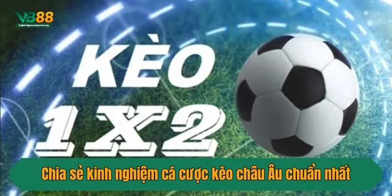 Chia sẻ kinh nghiệm cá cược kèo châu Âu chuẩn nhất