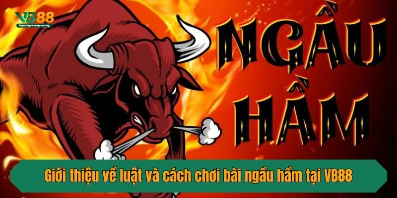 Giới thiệu về luật và cách chơi bài ngầu hầm tại VB88