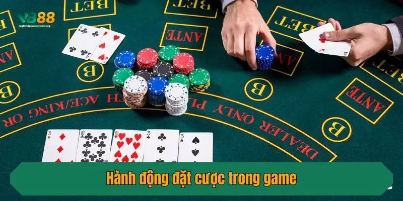 Hành động đặt cược trong game