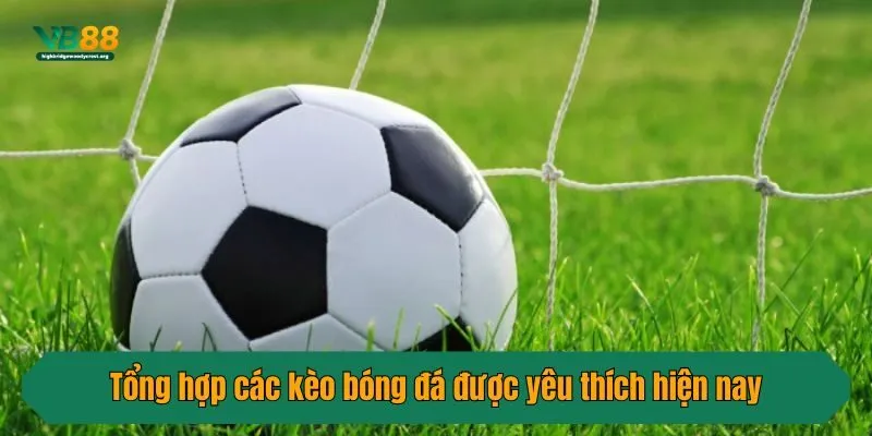 Tổng hợp các kèo bóng đá được yêu thích hiện nay