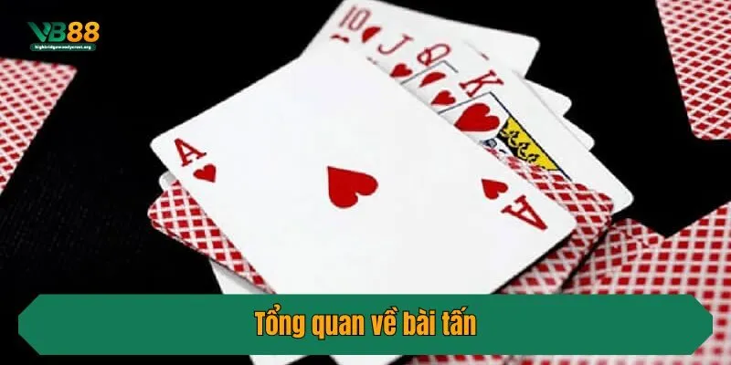 Tổng quan về bài tấn