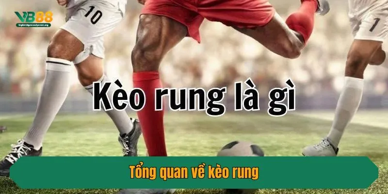 Tổng quan về kèo rung
